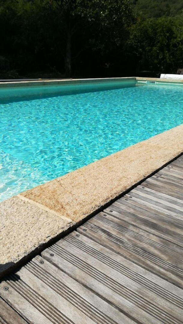 Les palmiers de mauves