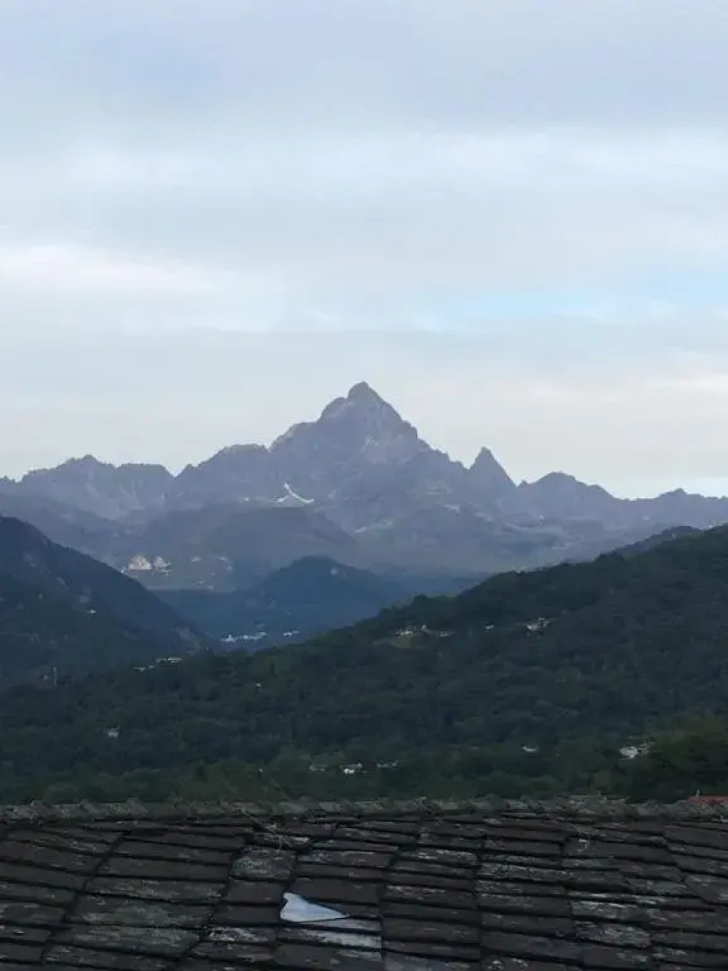 Agrialpi by Salfrutta