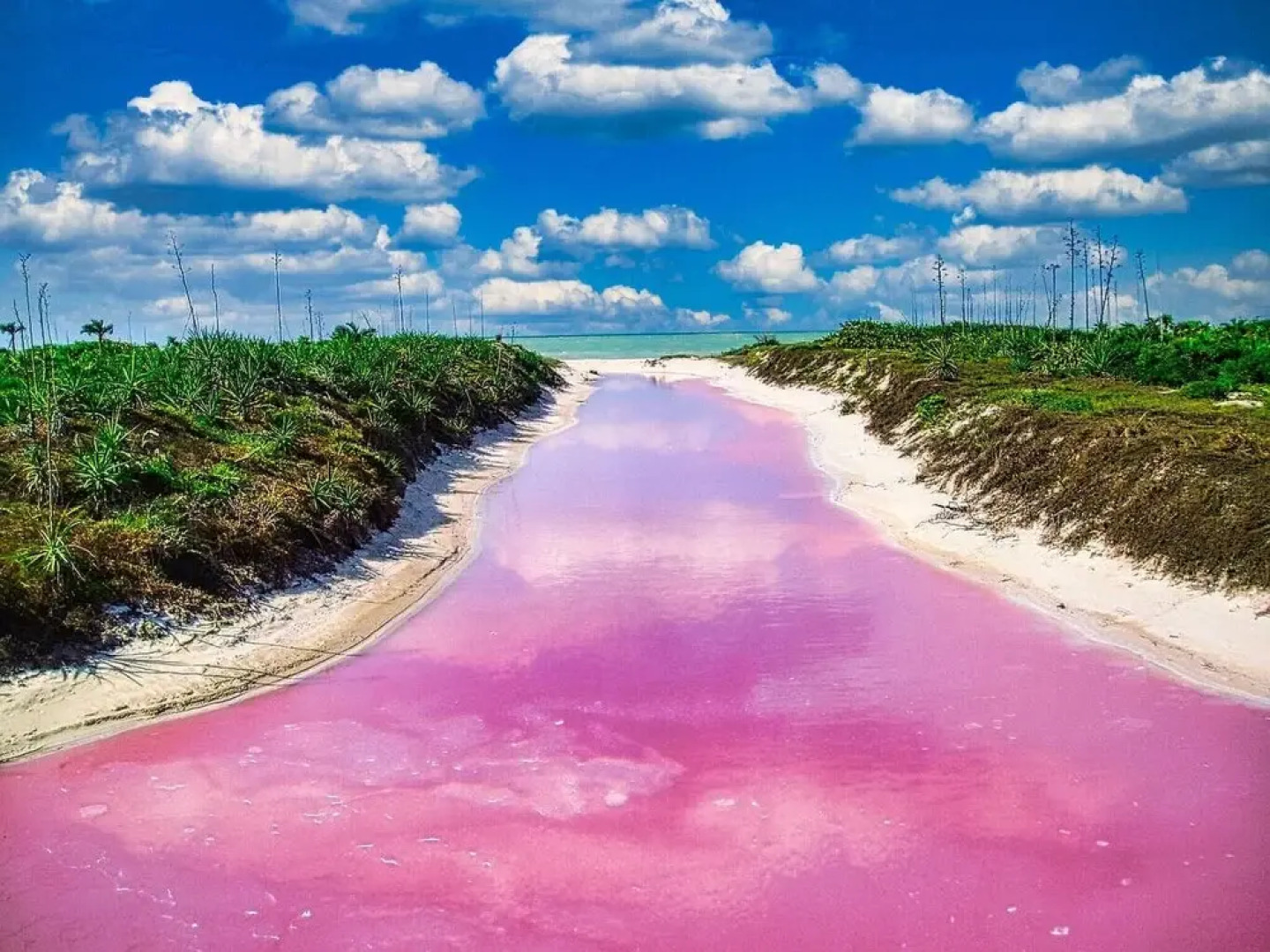 Beachfront Palapa In El Cuyo, Best Views