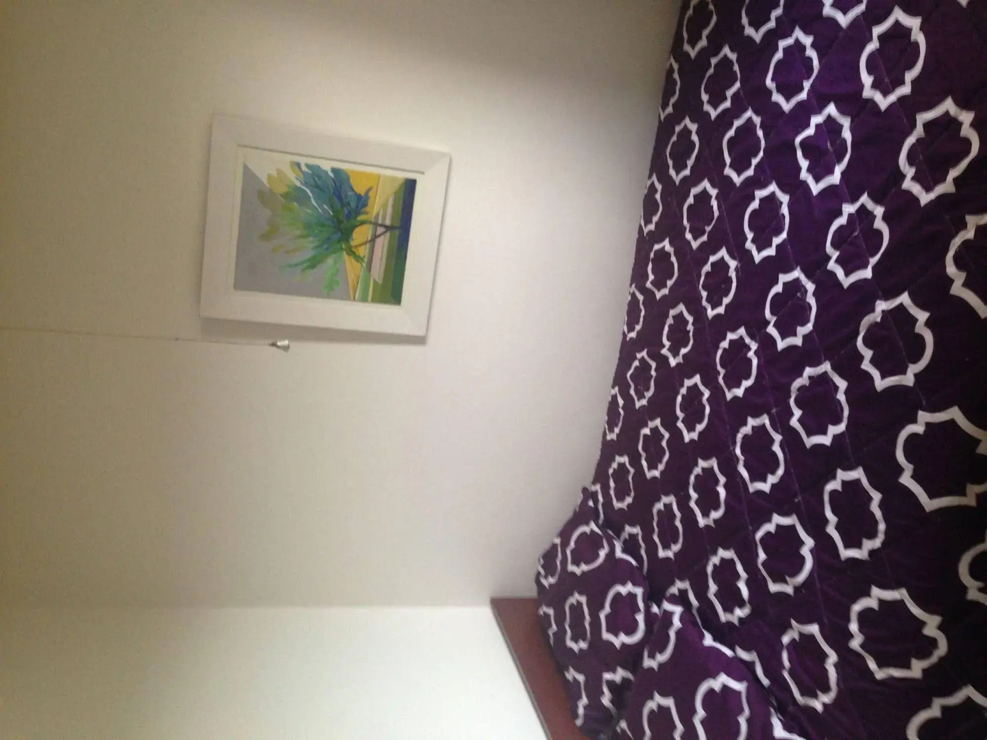 Whitianga Campground