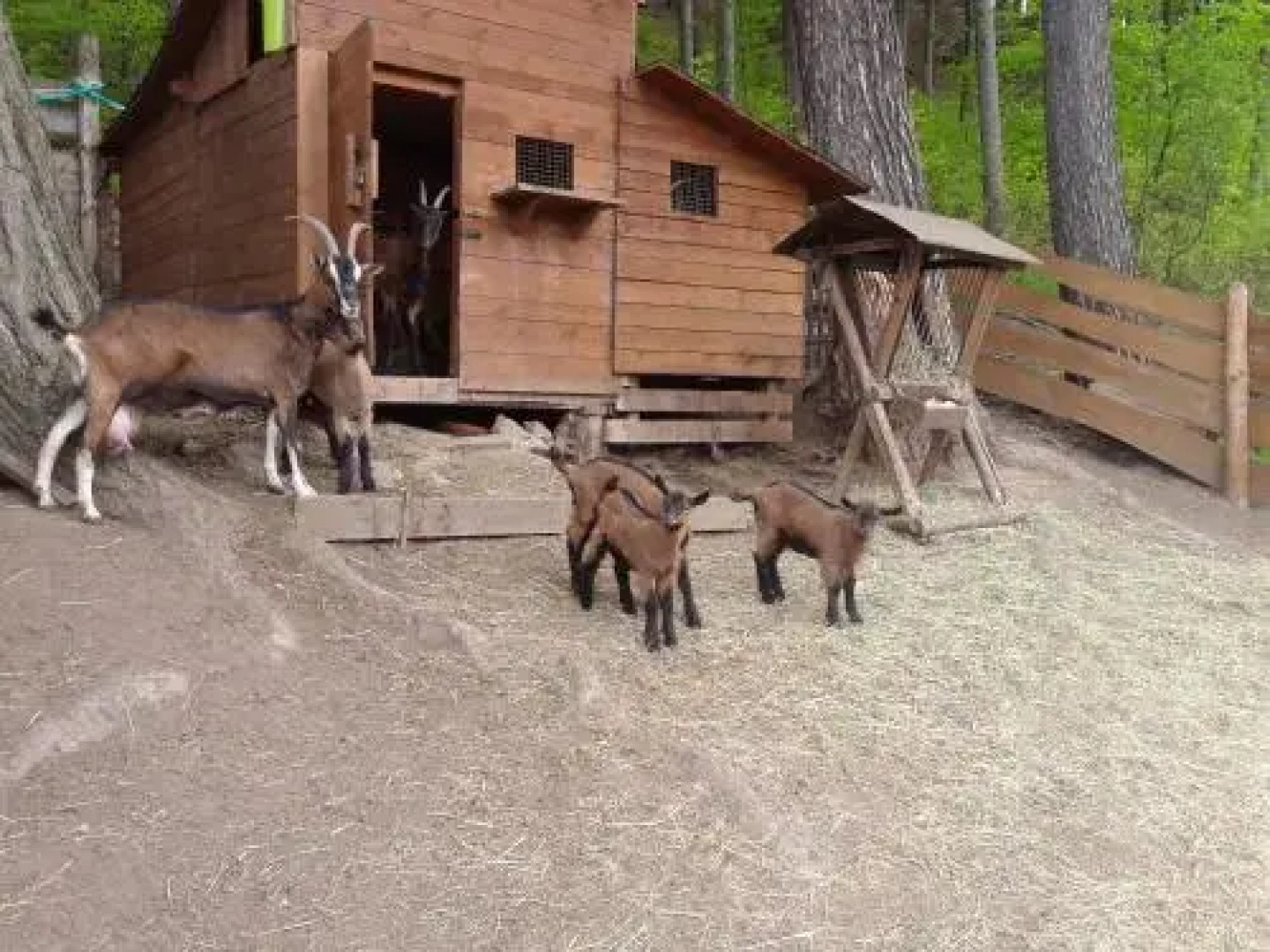 Ubytování - Černá hora II