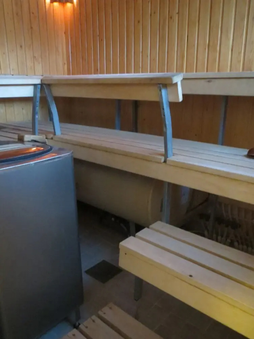 Porotila Toini Sanila