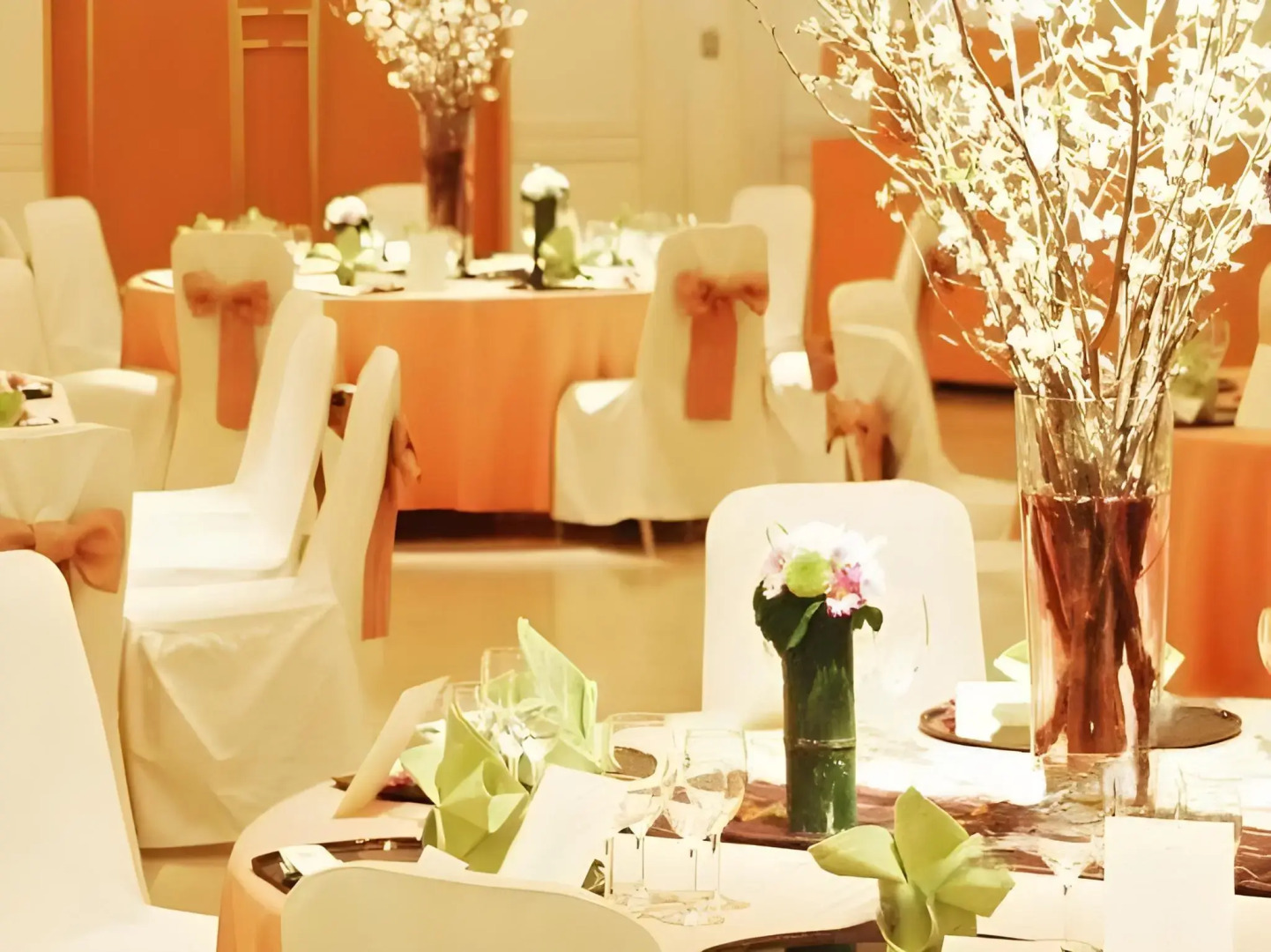 Hotel Plaza Kachigawa