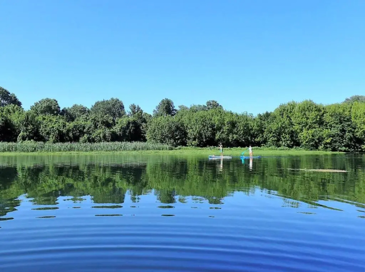 Le Petit Balcon Beaucaire