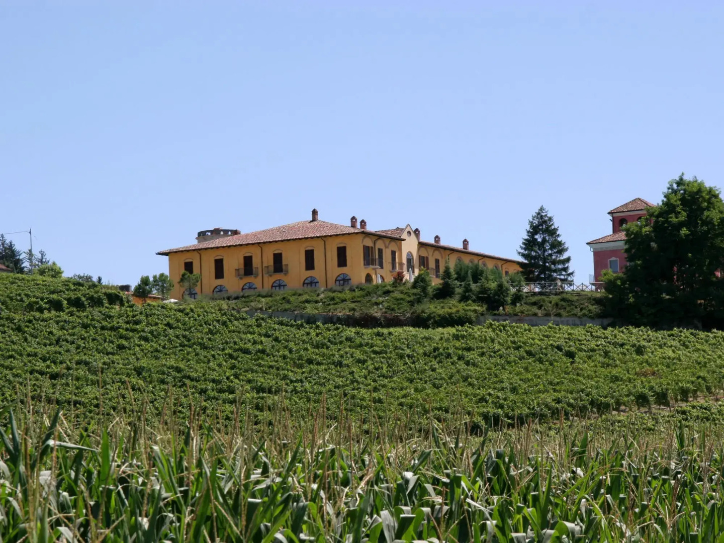 Fabulous Mansion in Nizza Monferrato with Swimming Pool