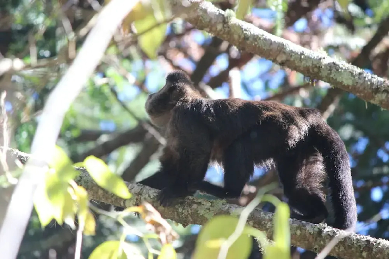 Pousada Refúgio Mantiqueira