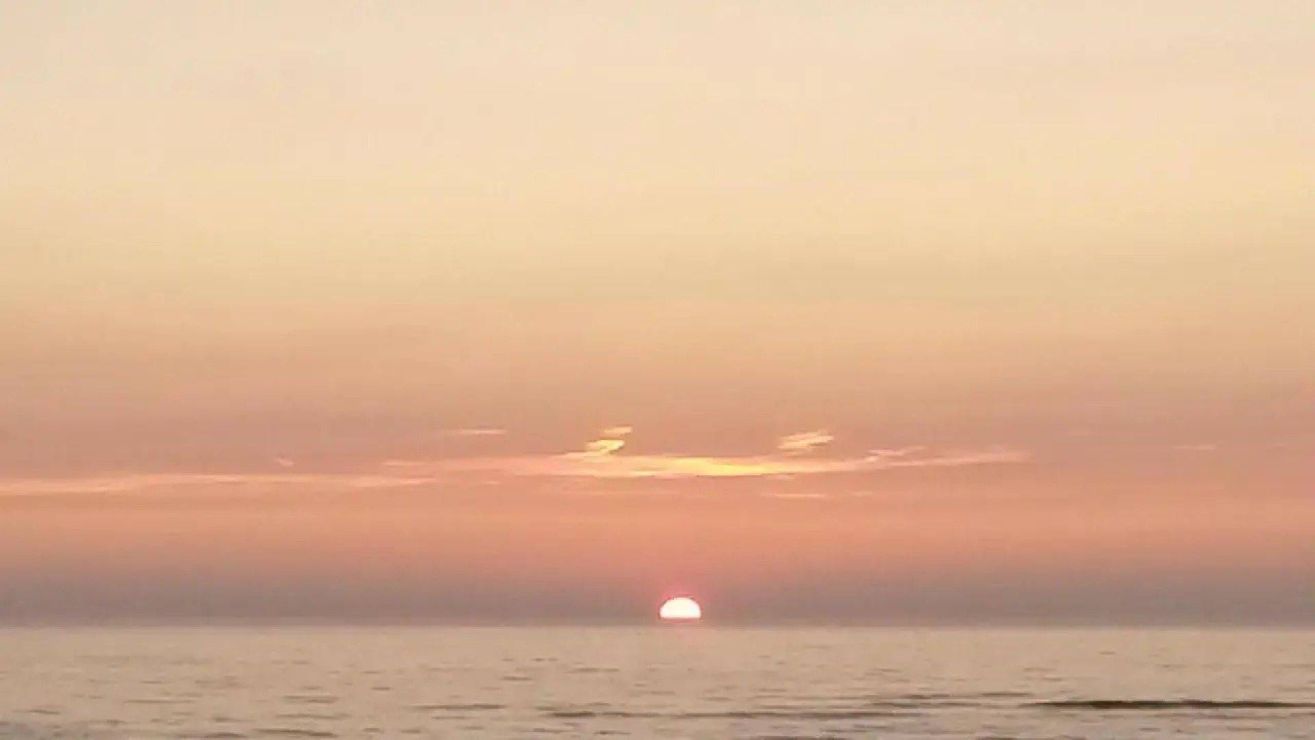 Studio Zonnehoek Schoorl