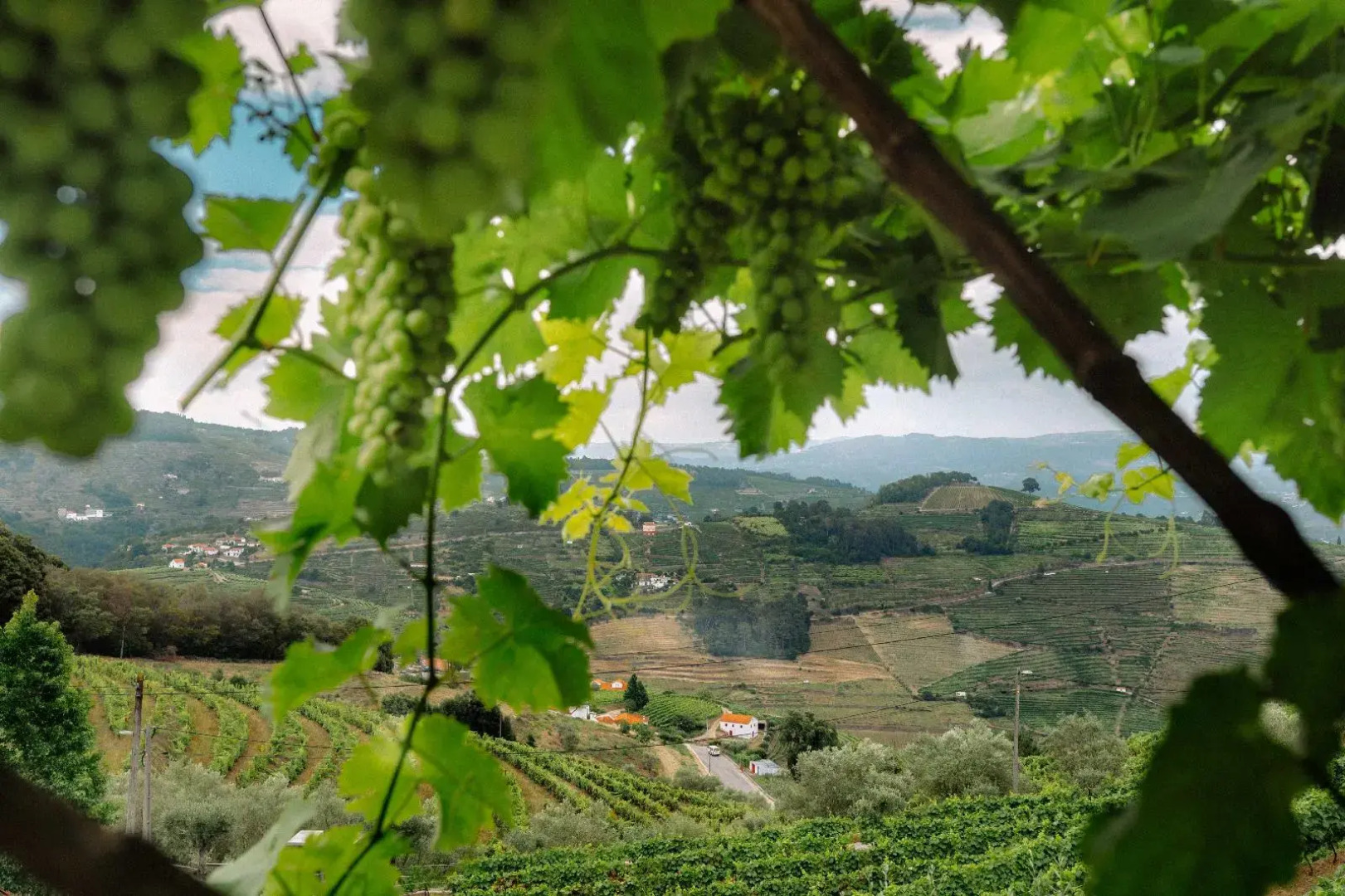 Vila Marim Country House