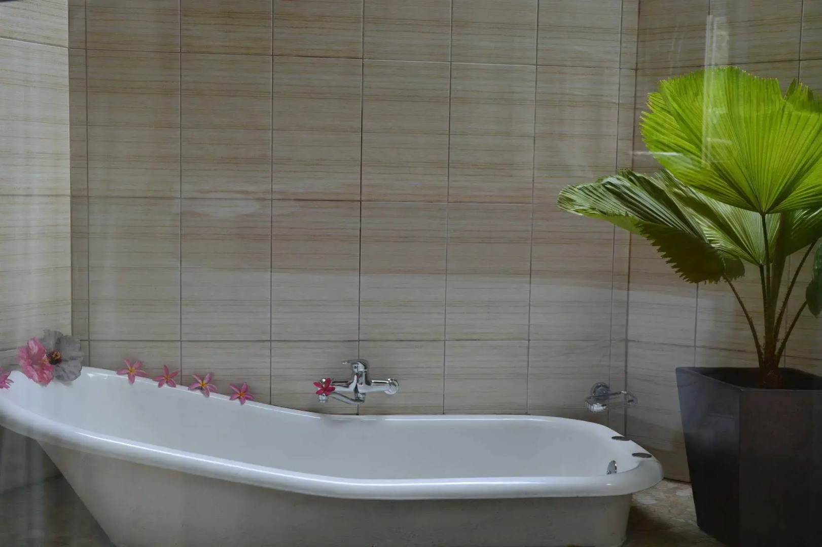 Magic Reef Bungalows