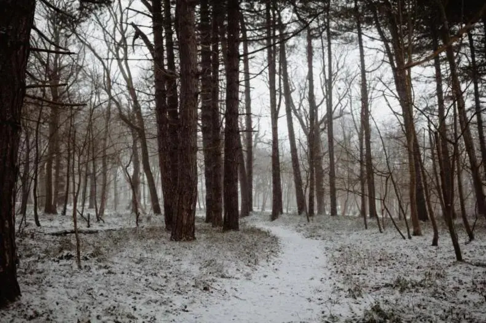 Studio Broeckestraat 12