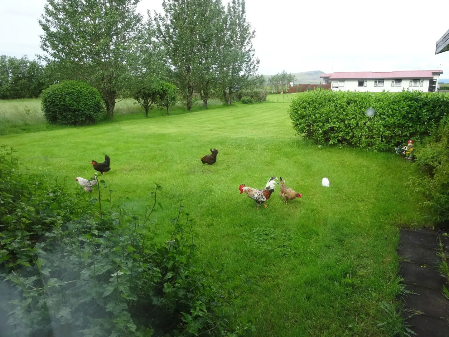 South Central Country Apartment