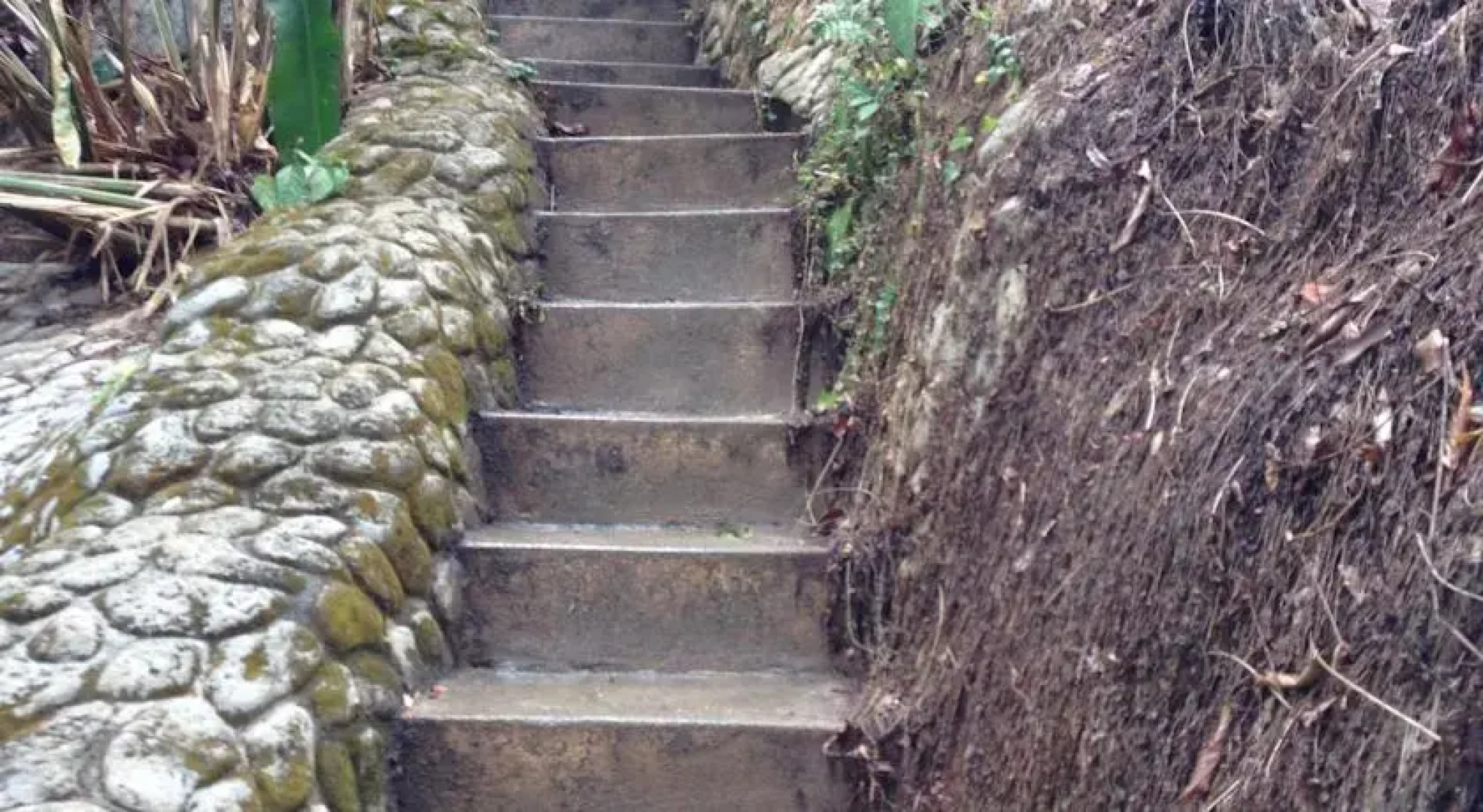 Hostal Casa Loma Minca