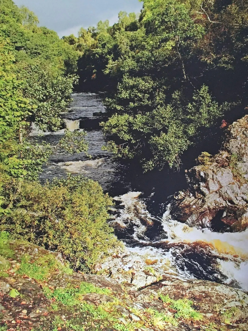 Scottish Highlander Guesthouse