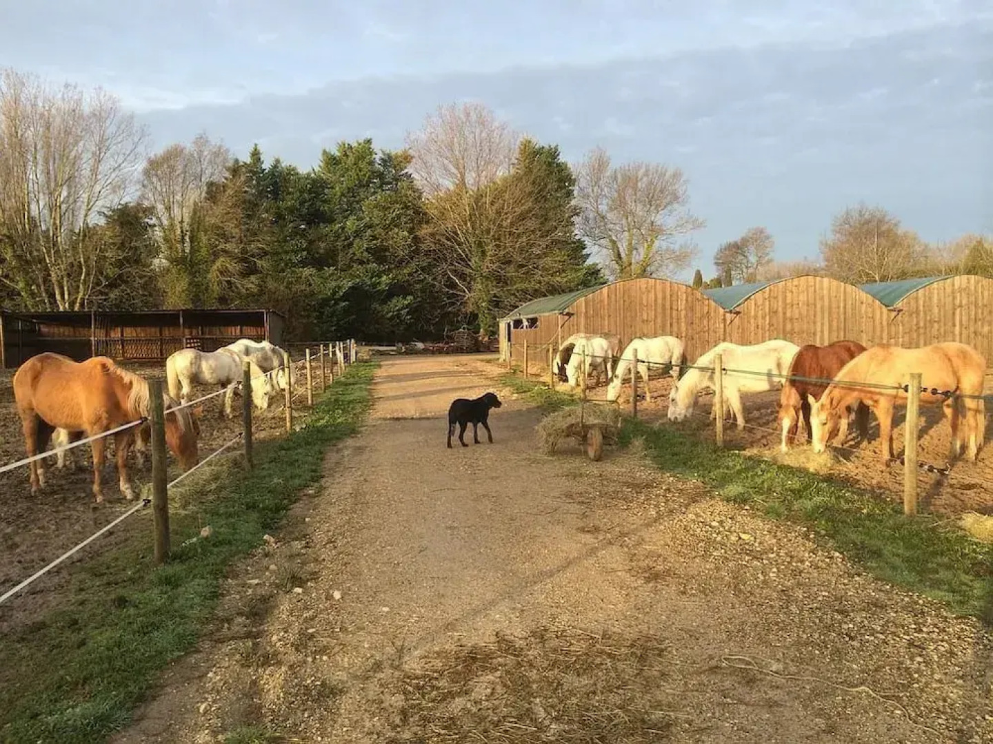 Chambres d'hôtes La sarriette Alpilles