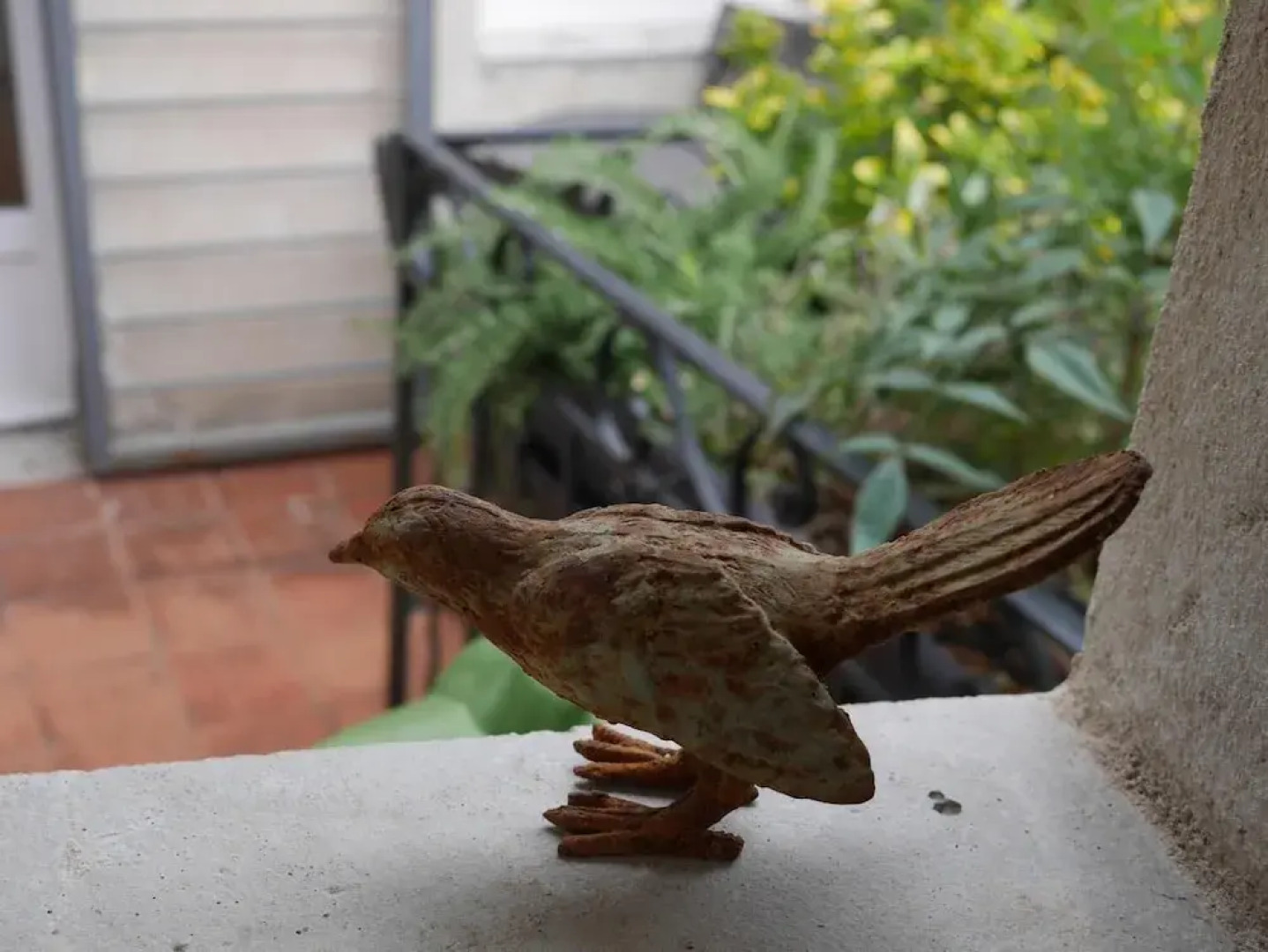 Une âme à Nîmes : coté cour