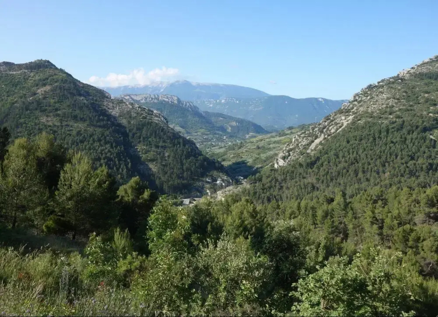 Les Arcades Le Lion Dor