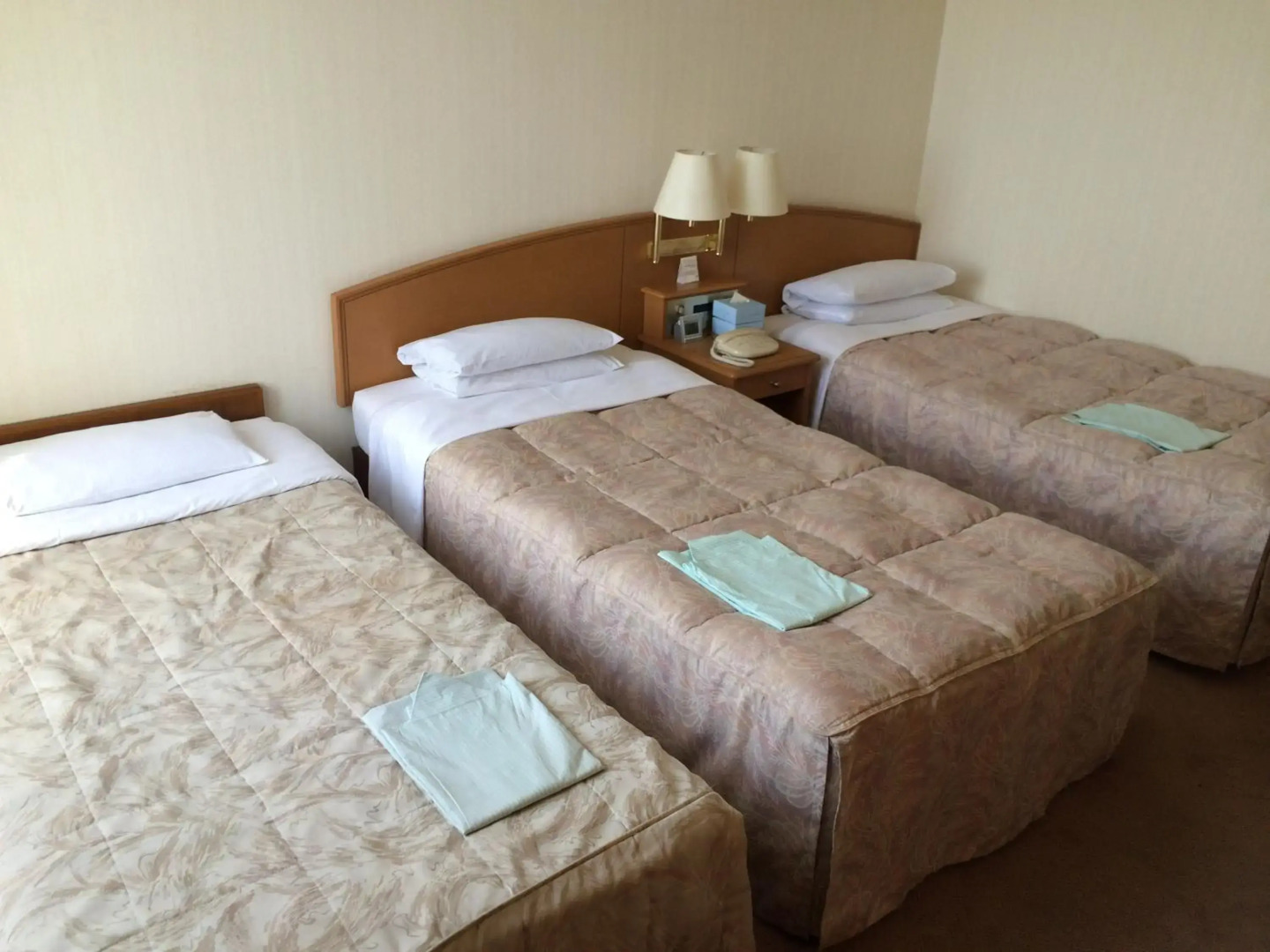 Sky Hotel Uozu Annex