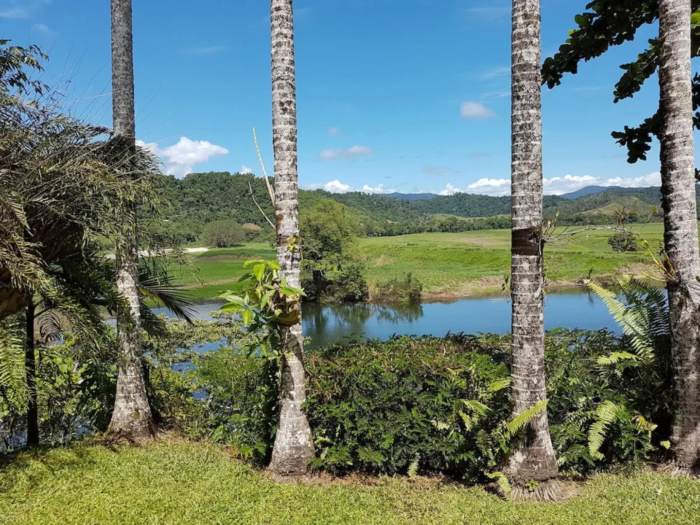 Daintree Village Bed and Breakfast