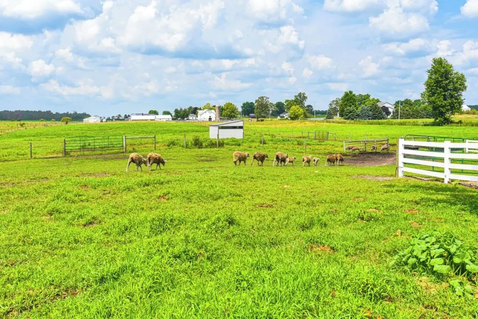 Bright Shipshewana Gem w/ Shuffleboard Table!