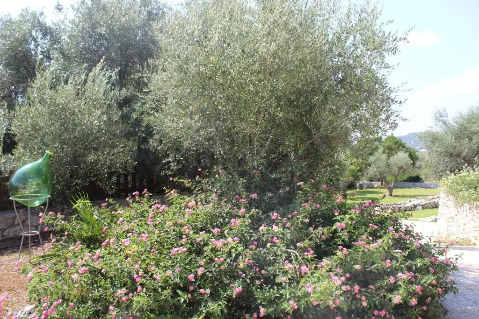 Amoru Bed & Breakfast