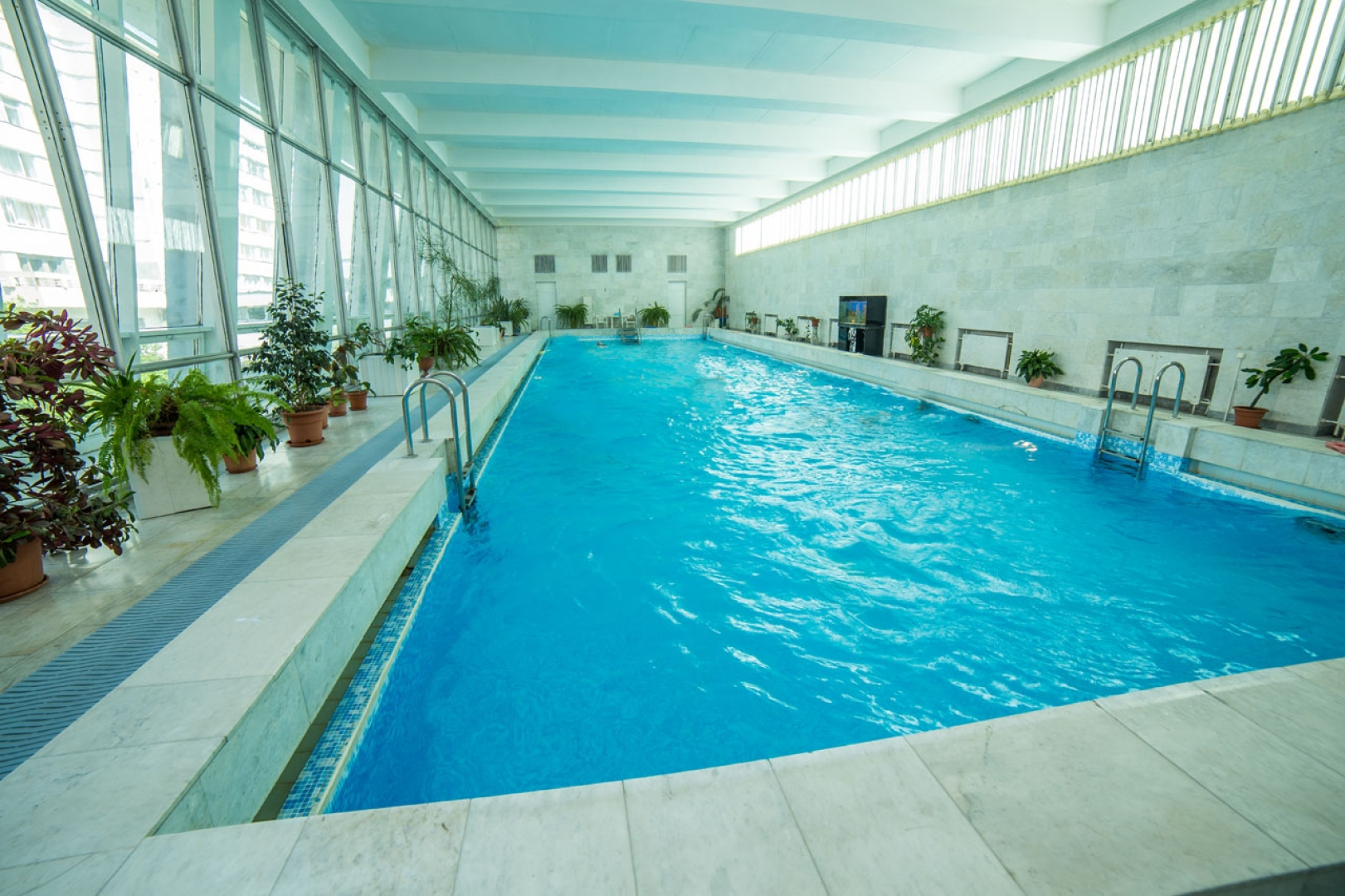 Sosny (Minskaja oblast')