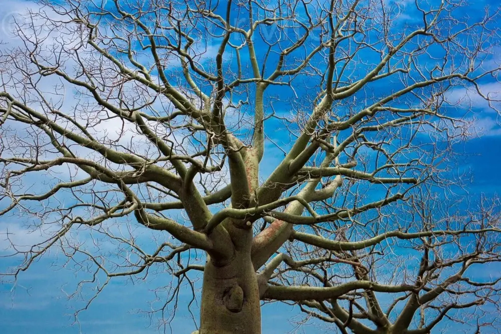 Montecristi Golf Resort & Villas