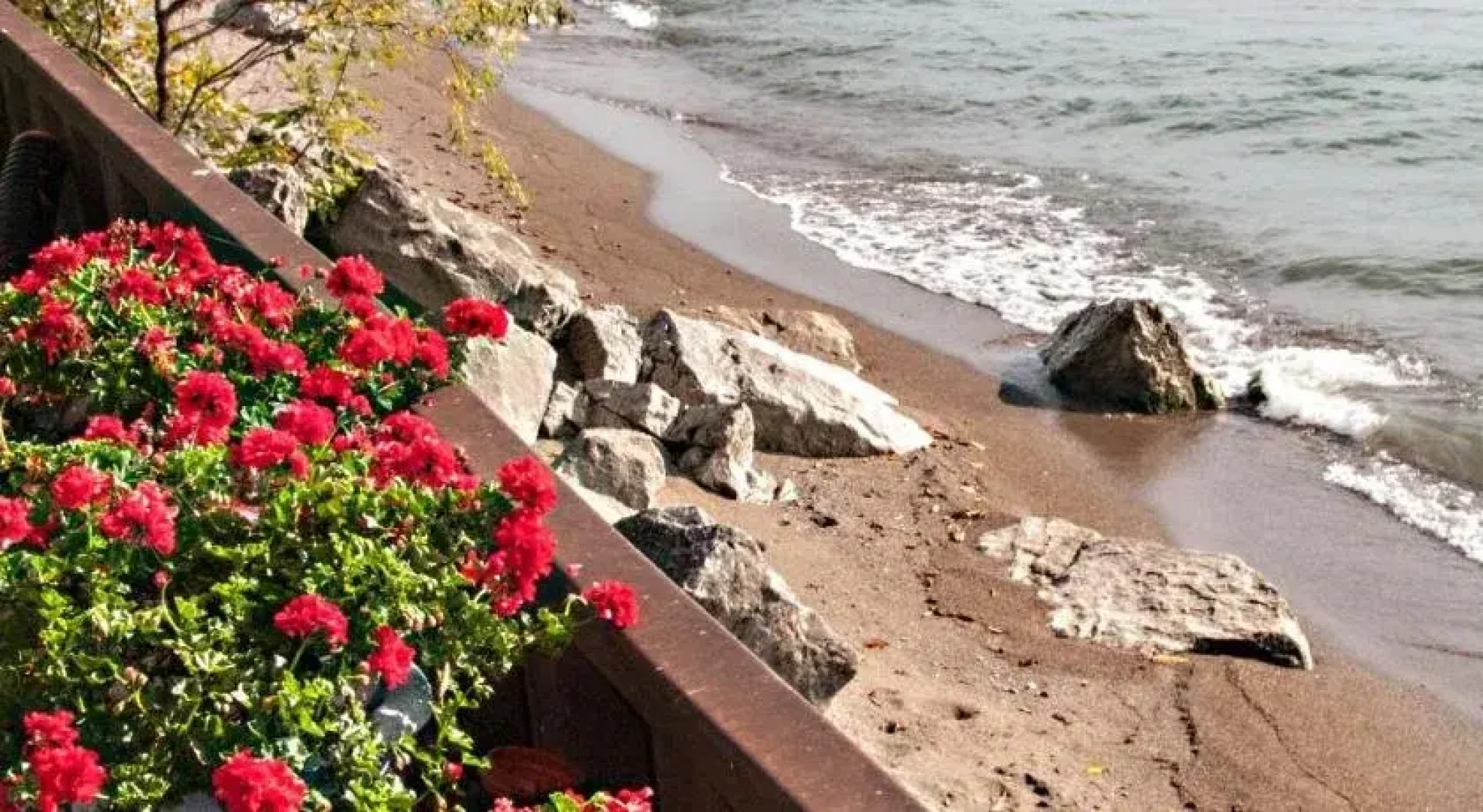 Point Pelee Lakeshore B&B