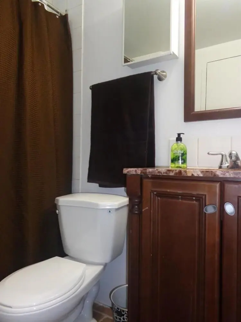 Adib Apartments - 1530 Gilles St, Unit 4 (Basement)