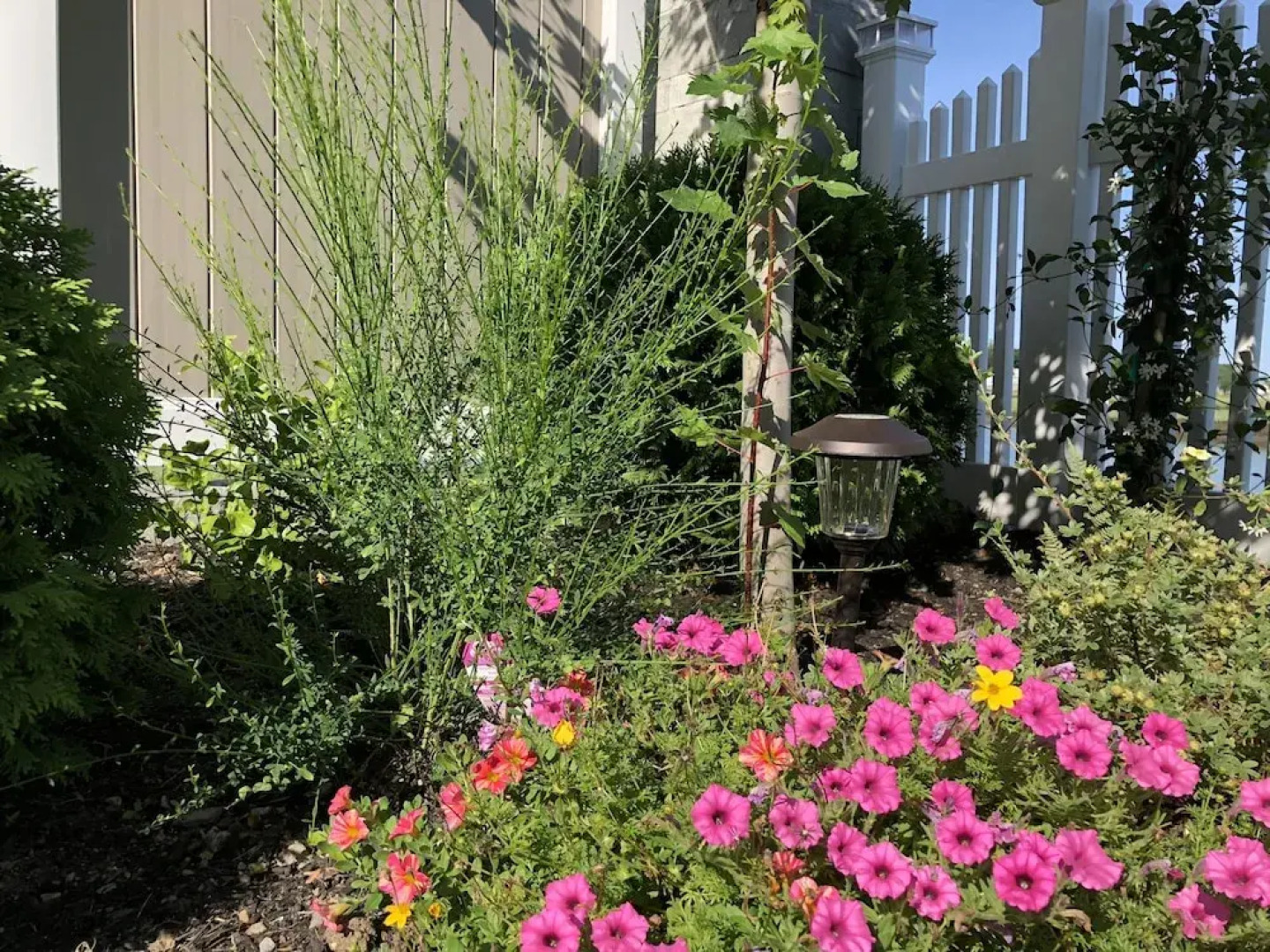 Rooms in Family House in Salem Boston