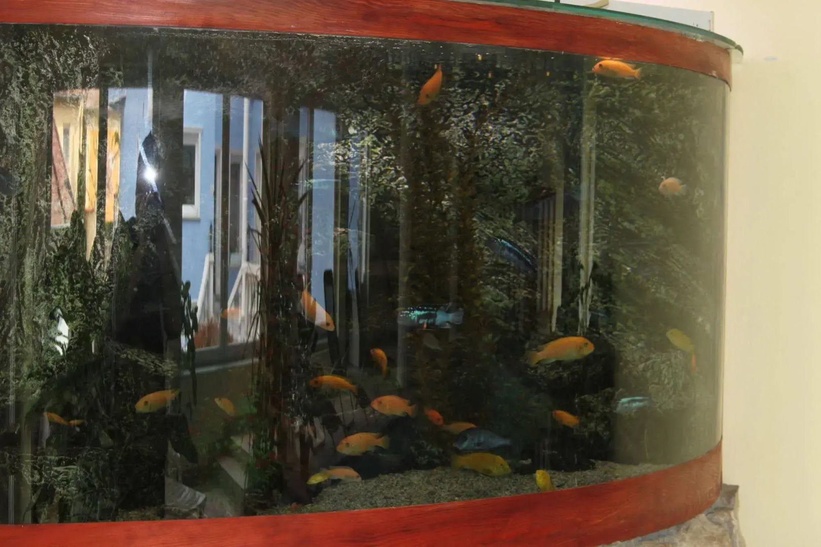 Blue Villa Appartement House