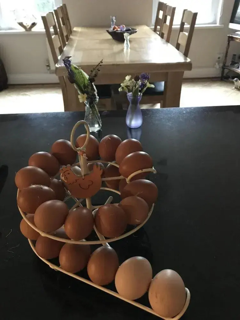 Arfryn House Bed and Breakfast