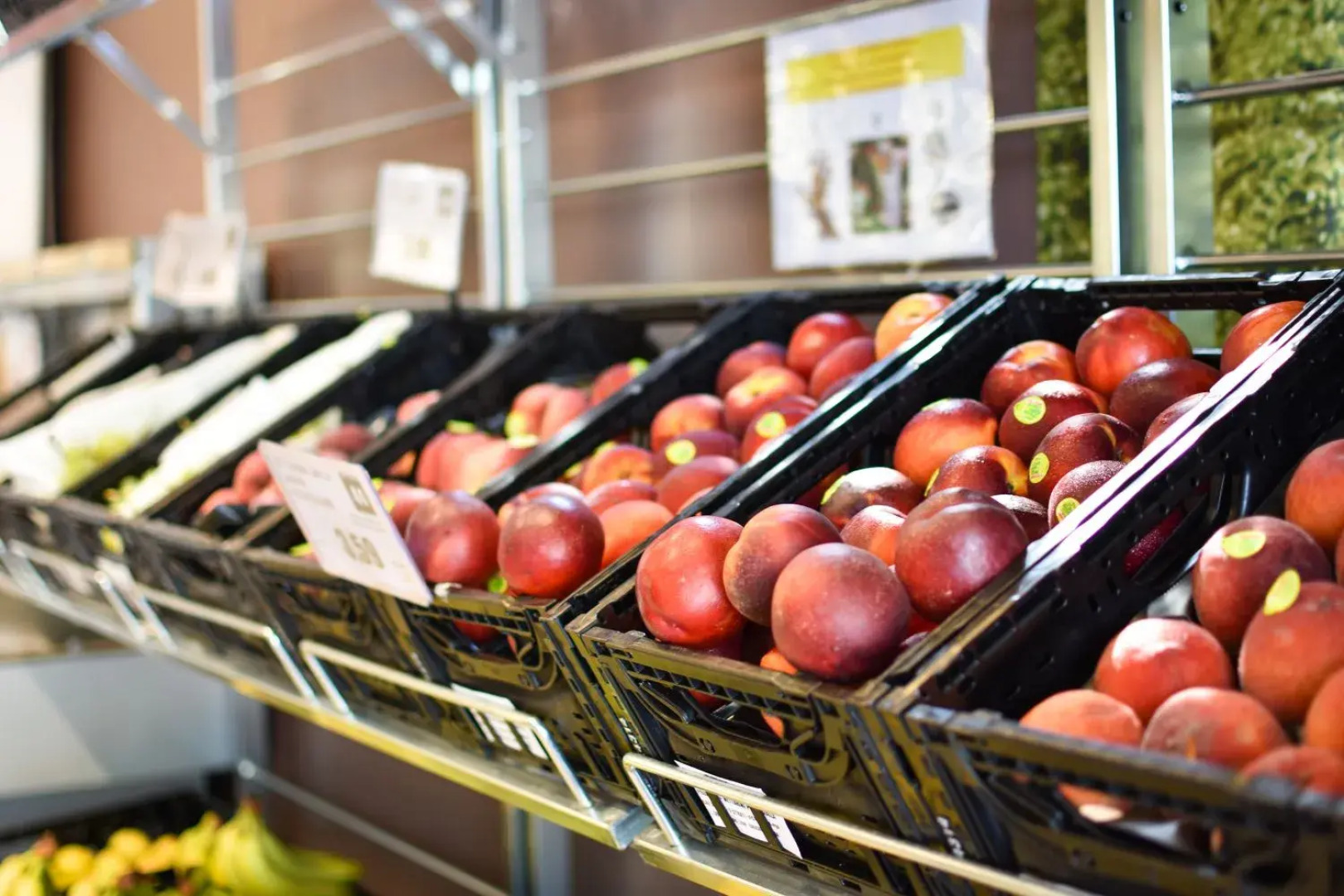 Club Del Sole Spina Family Collection