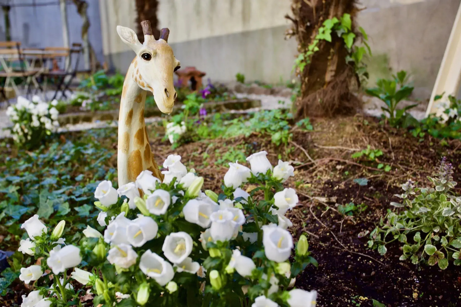 Ostello Bello Lake Como