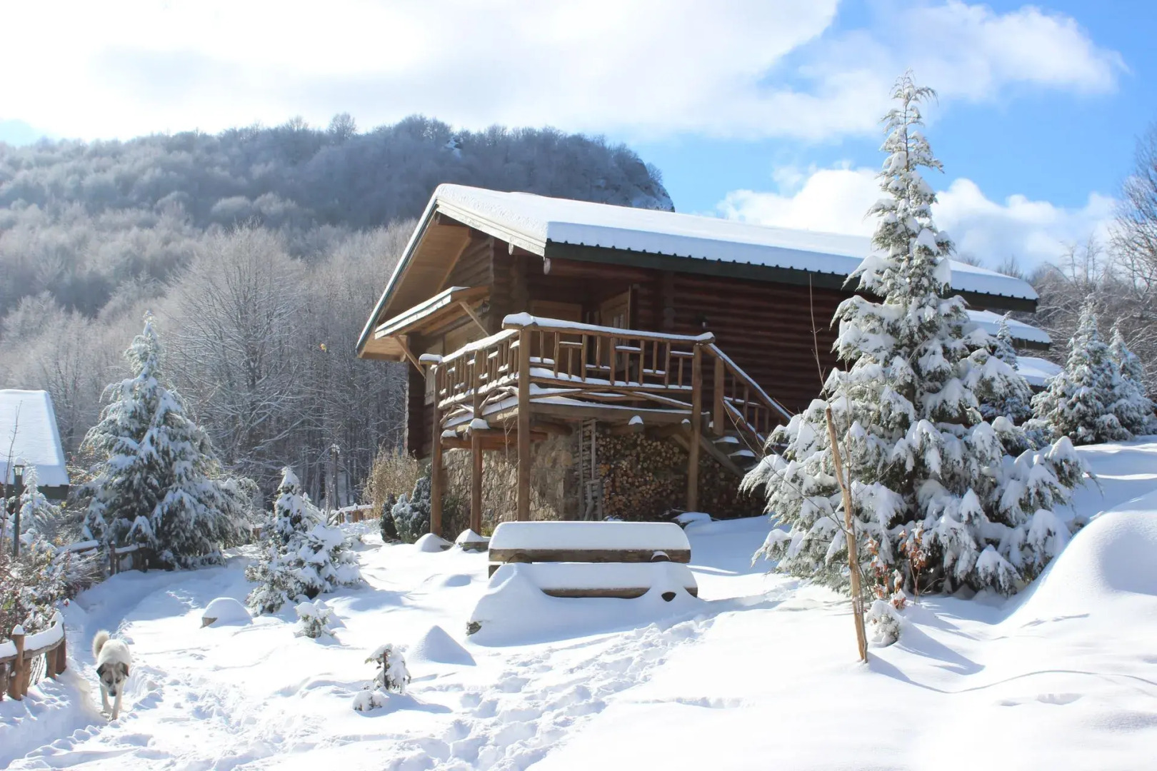 Sfendamos Wood Village