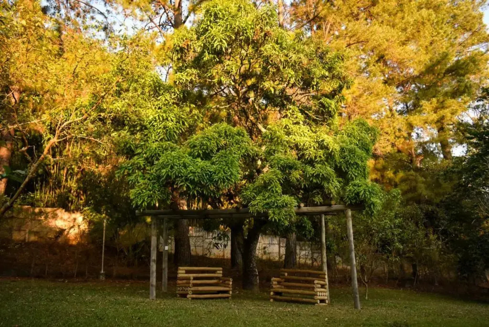 Chalés da Estrada Velha