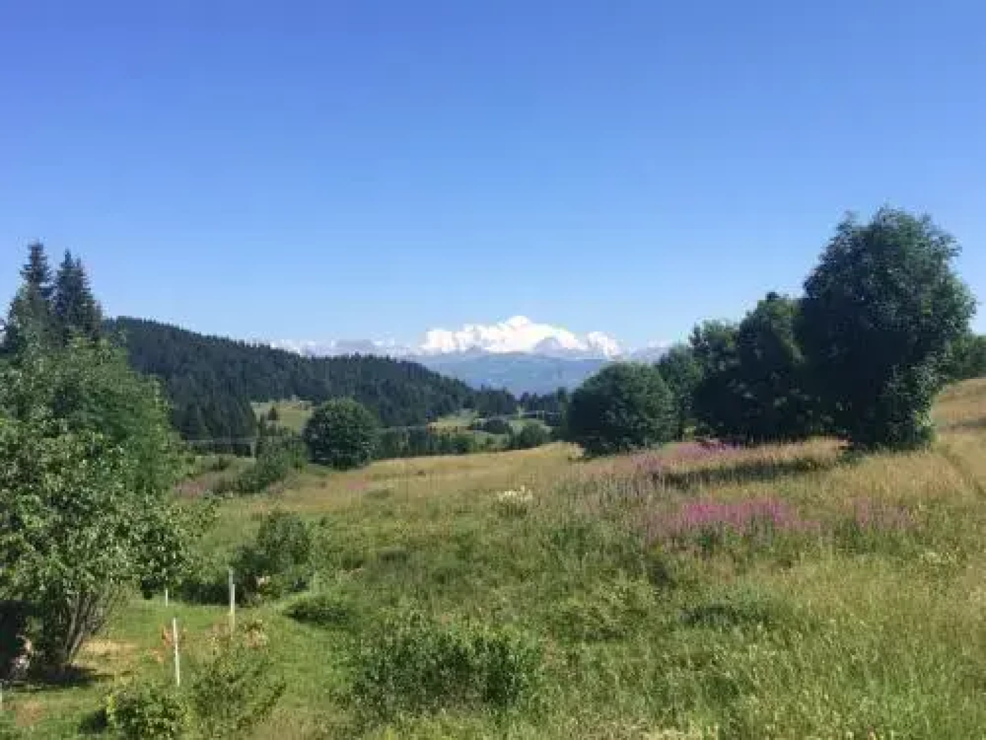 Appartement Le Praz De Lys