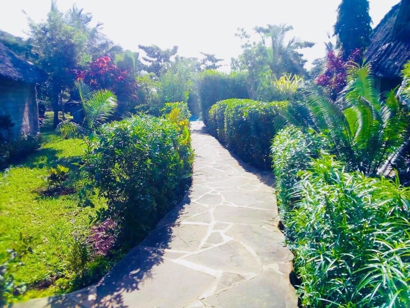 Villa Dora and Holly