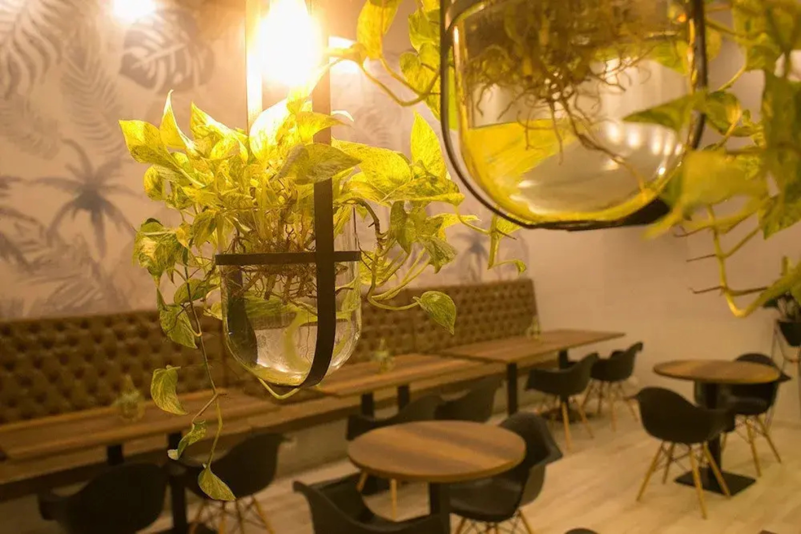 Hotel Sexta Avenida Inn