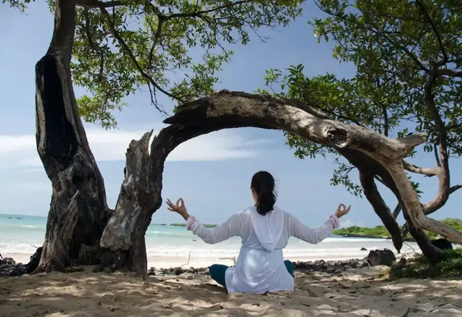 Semilla Verde Boutique Hotel