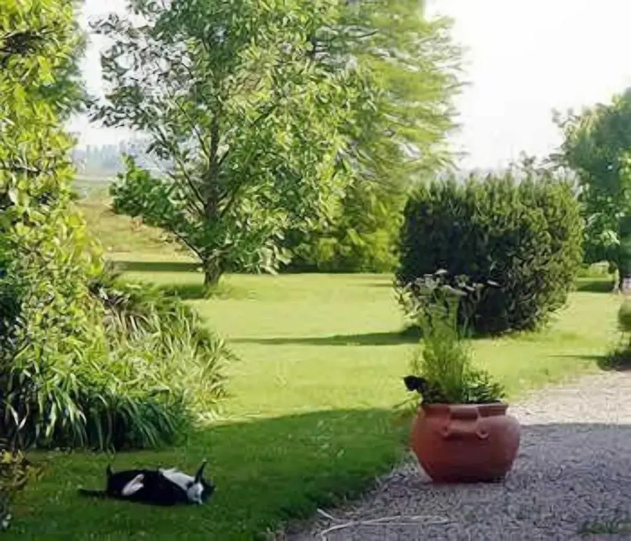 Alla Cedrara agriturismo