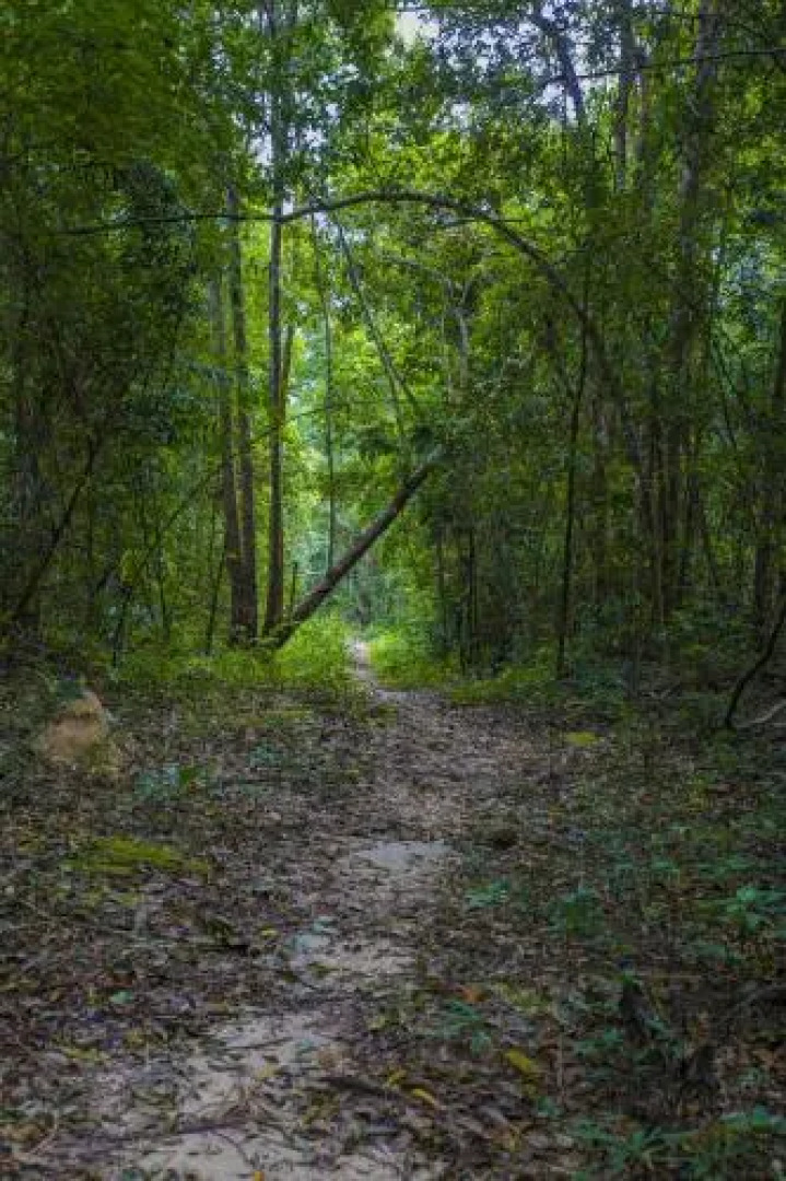 Paradise Bungalows Koh Rong