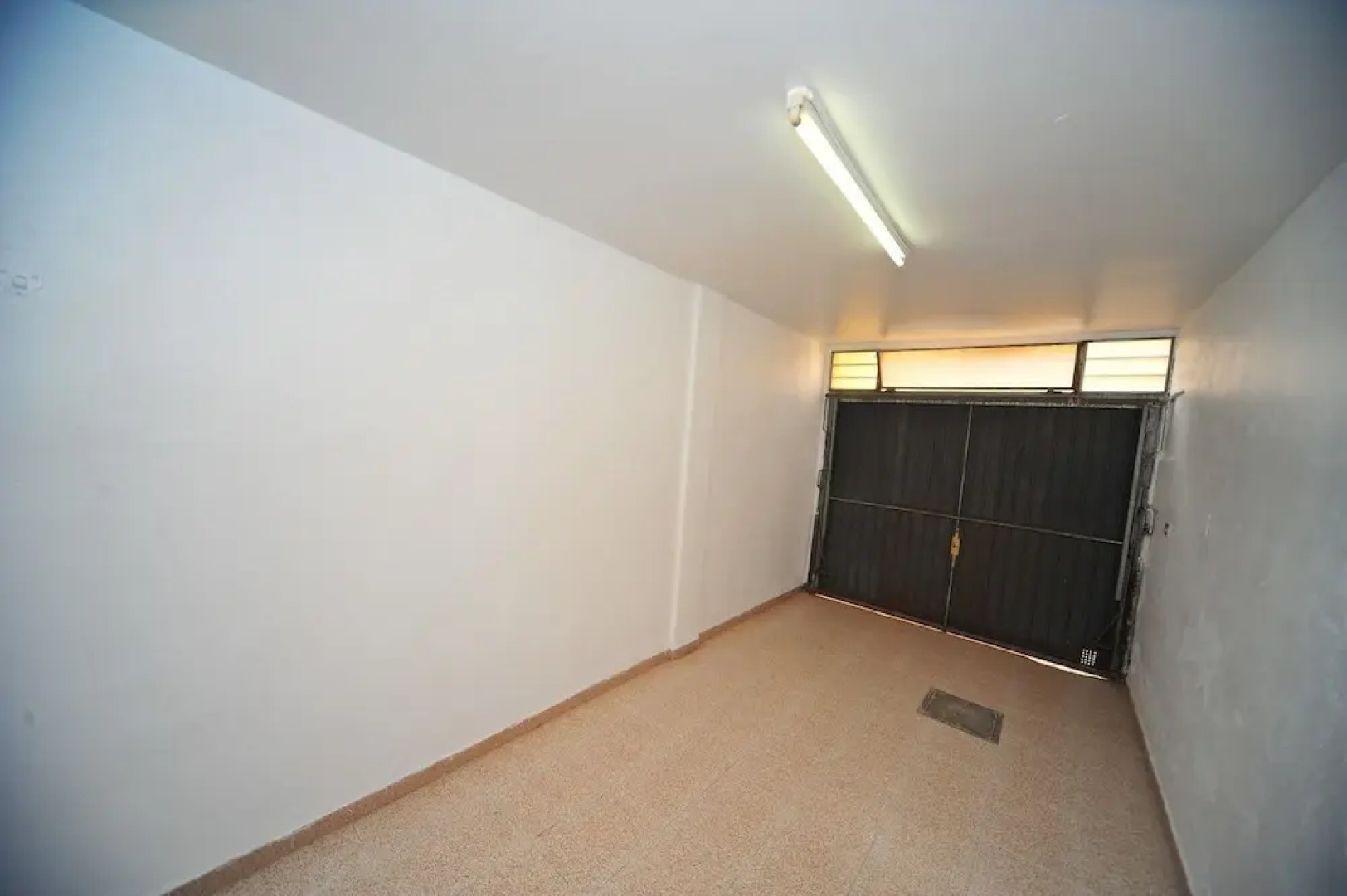 Costa Brasil Orange Costa