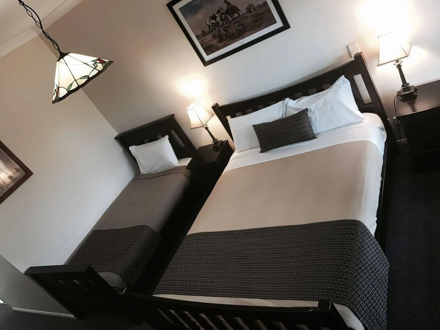 Bearded Dragon Tamborine Country Lodge