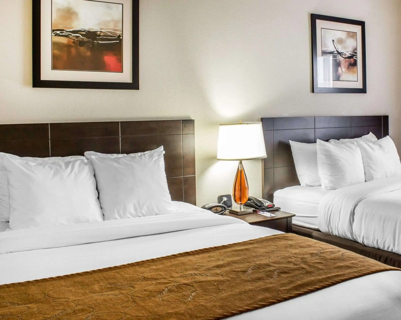 Comfort Suites Wilson I-95