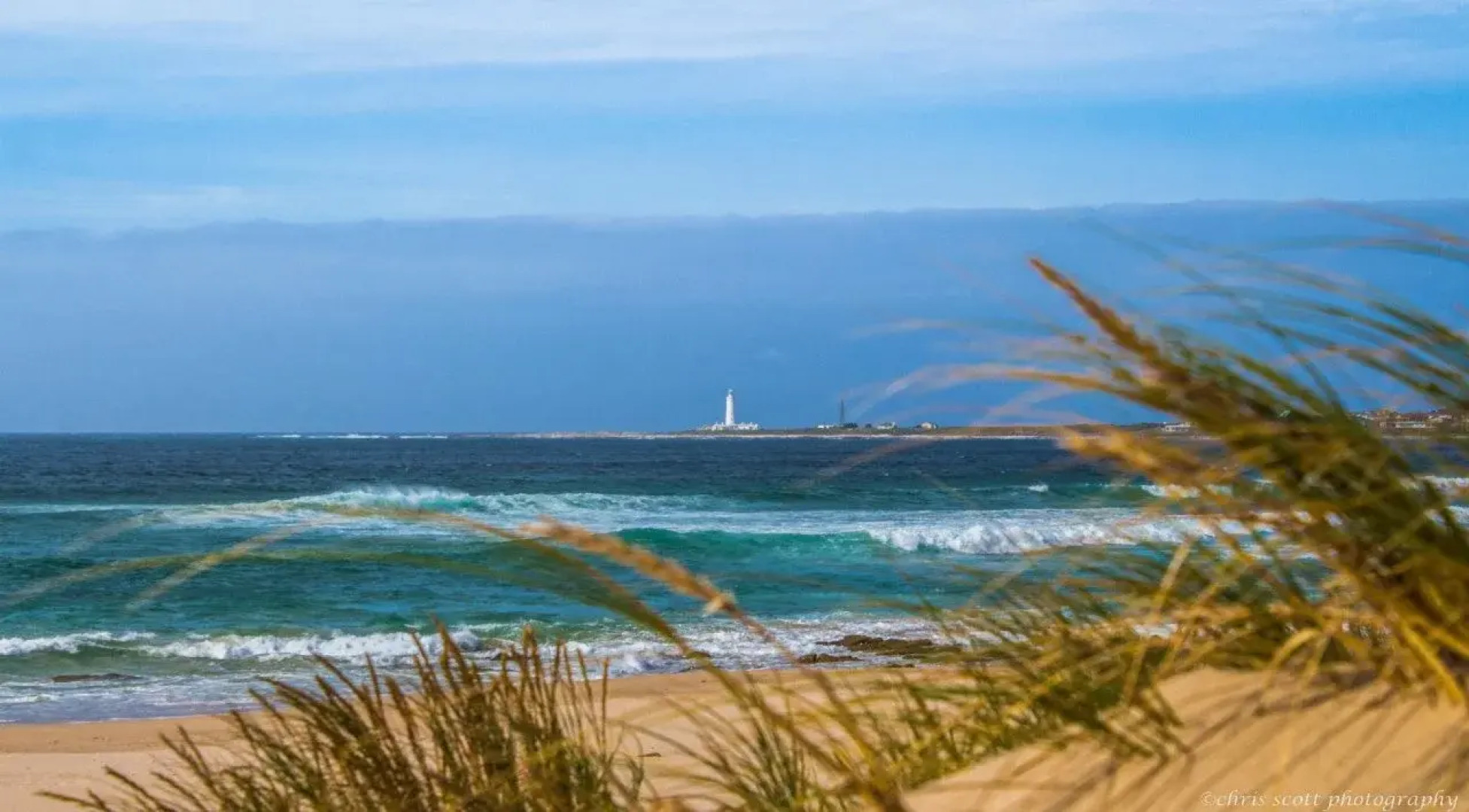 Milkwood Country Cottage