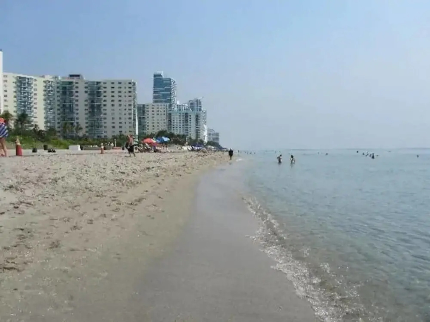 Gorgeous 1br apartment, a walk from the Beach