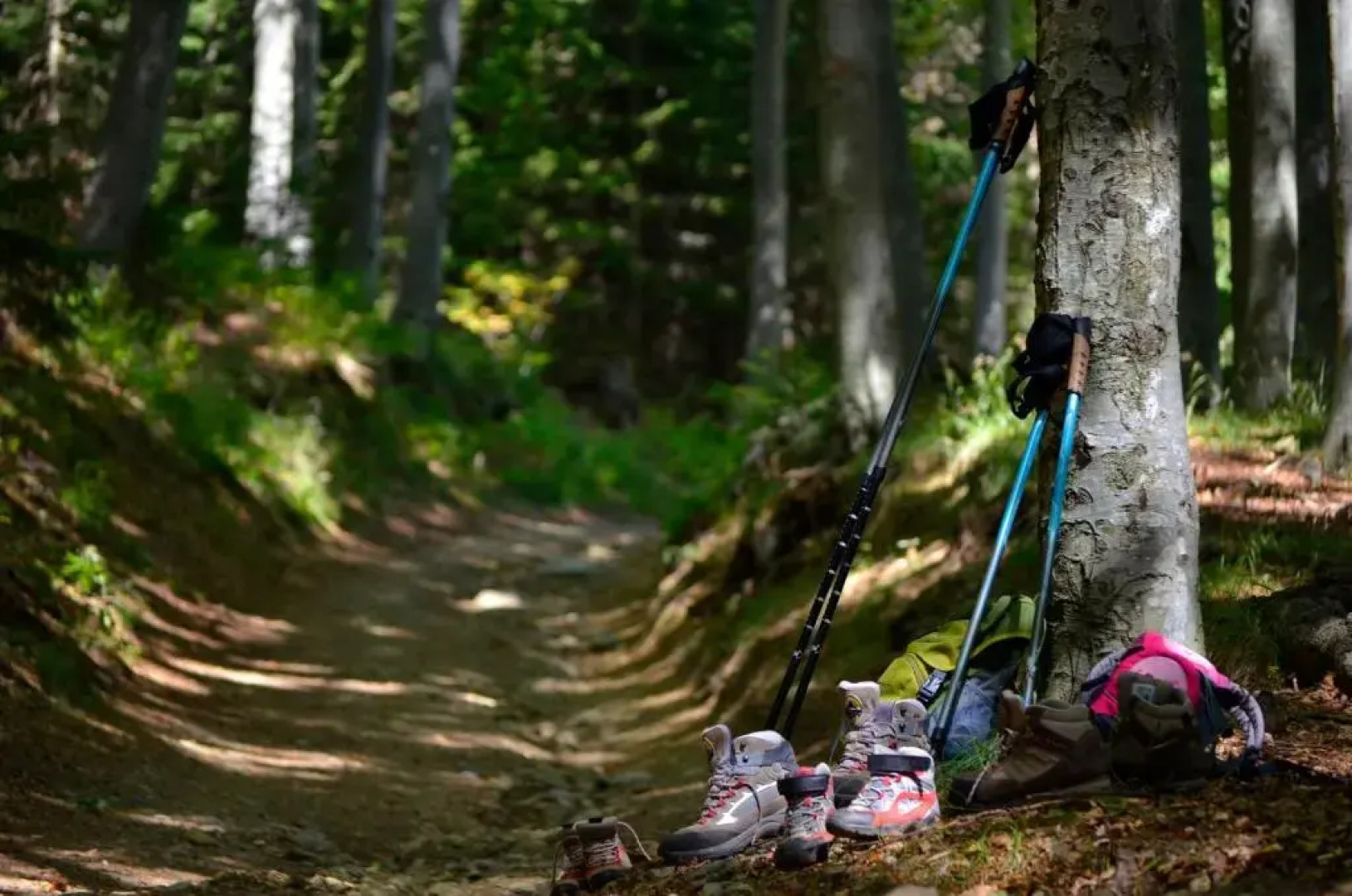 Green Village Rusevec