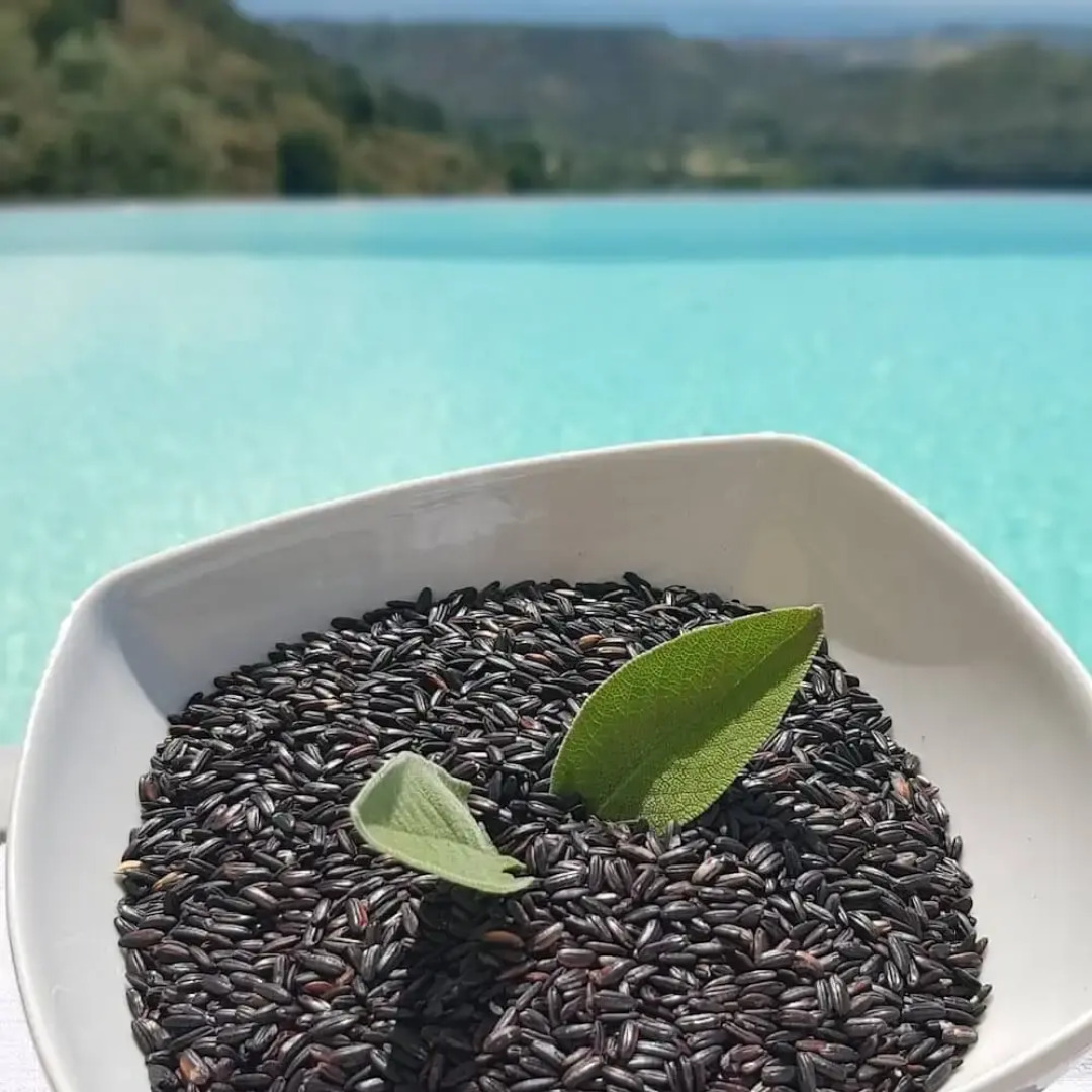 AHG Relais Agriturismo Pansera