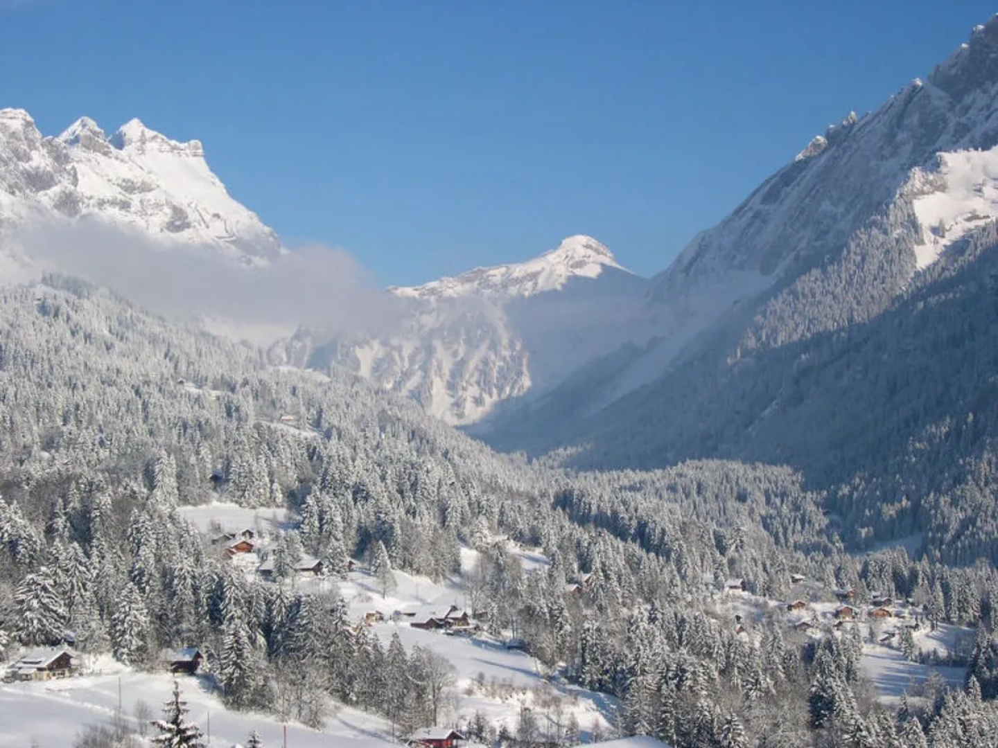 Chalet Zan-Fleuron