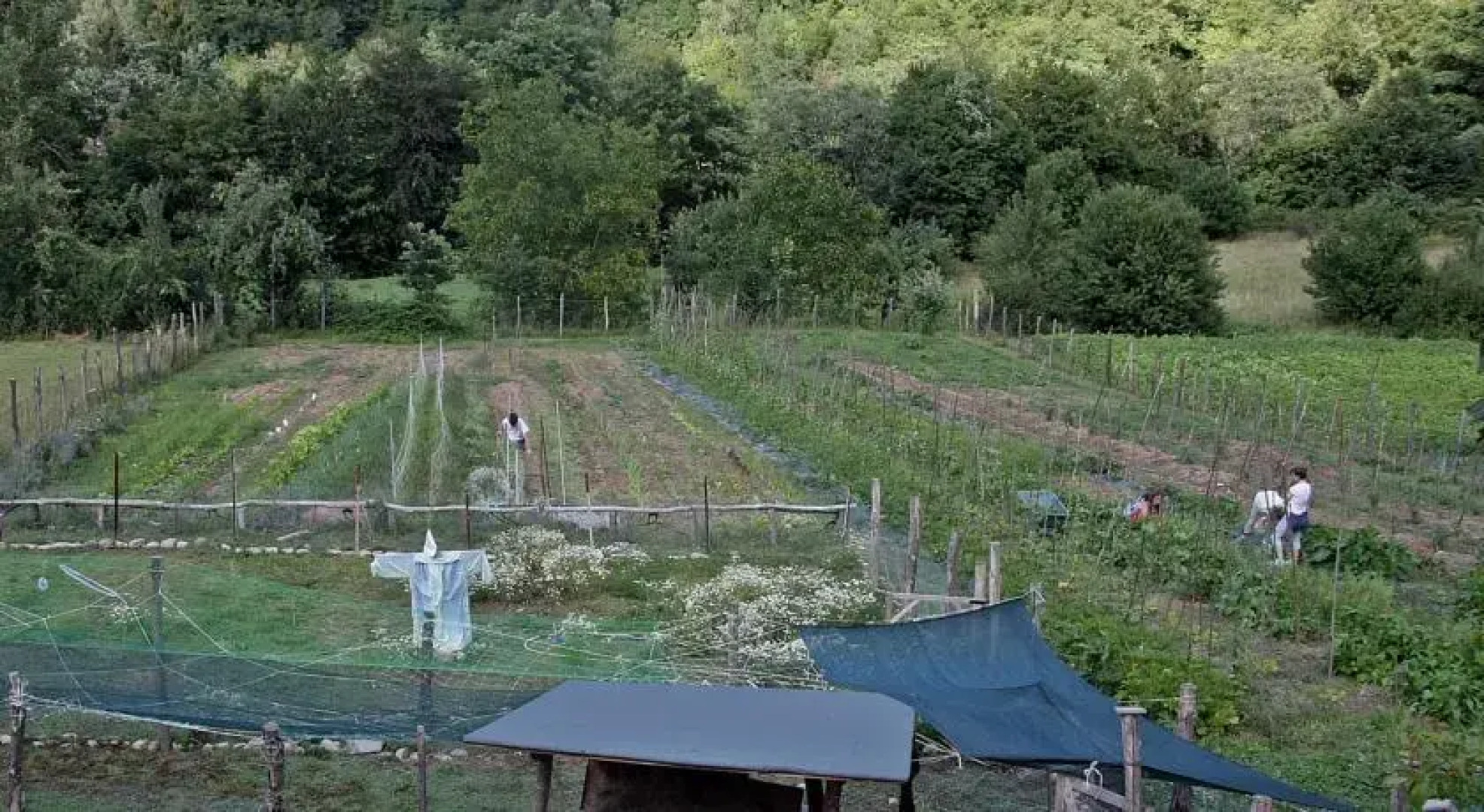 Agriturismo Il Pellegrino